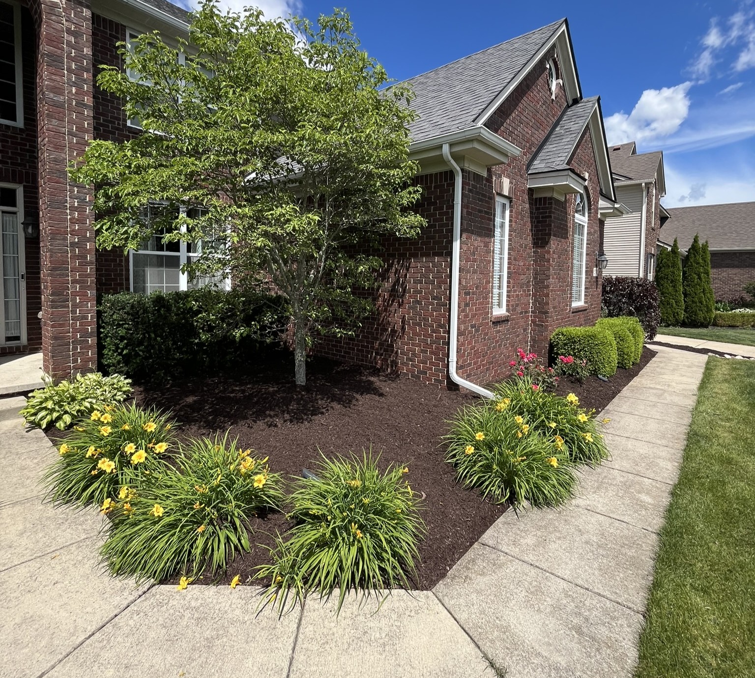 Landscape design and installation
