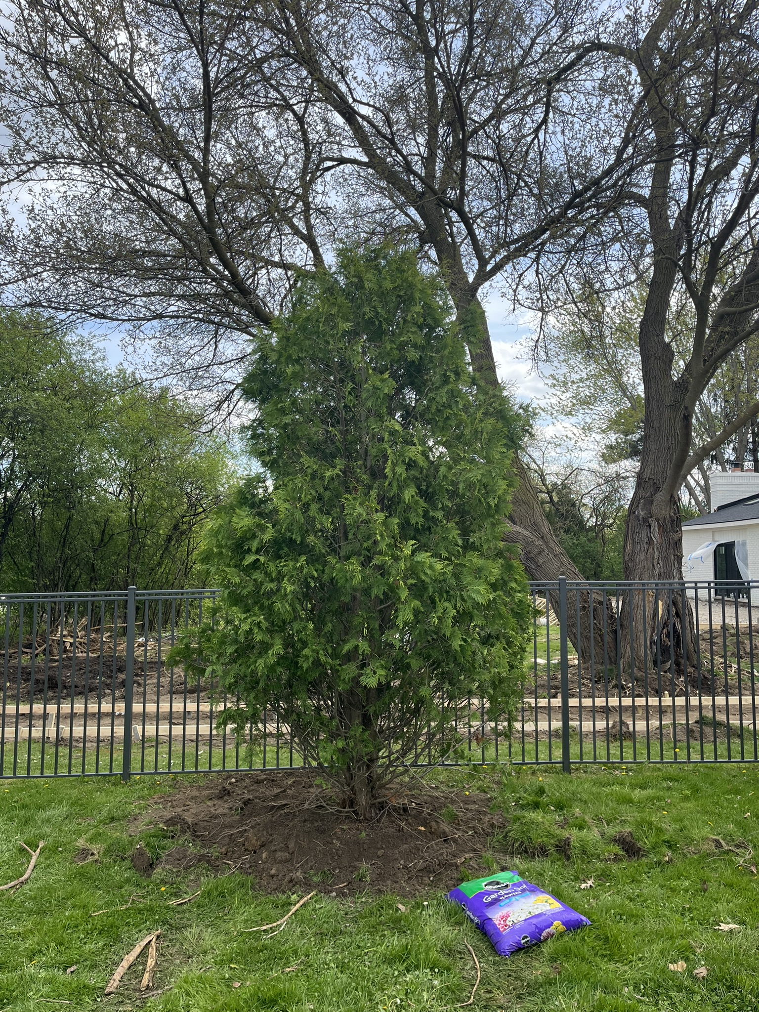 Landscape design and installation