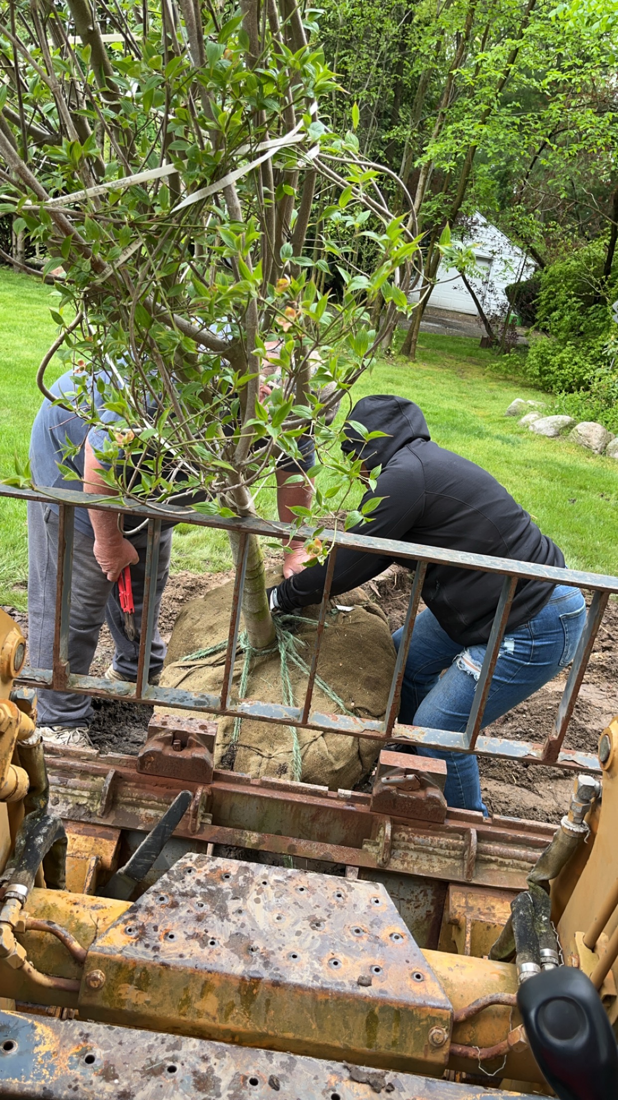 Residential landscape renovation