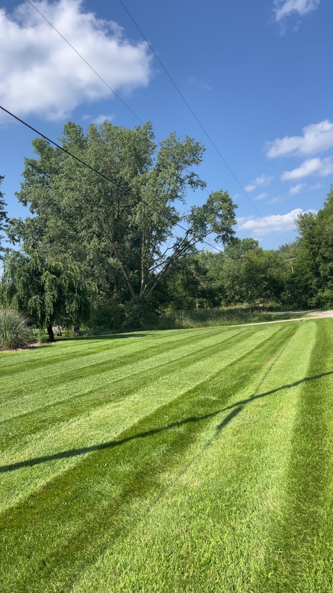 Residential lawn care service