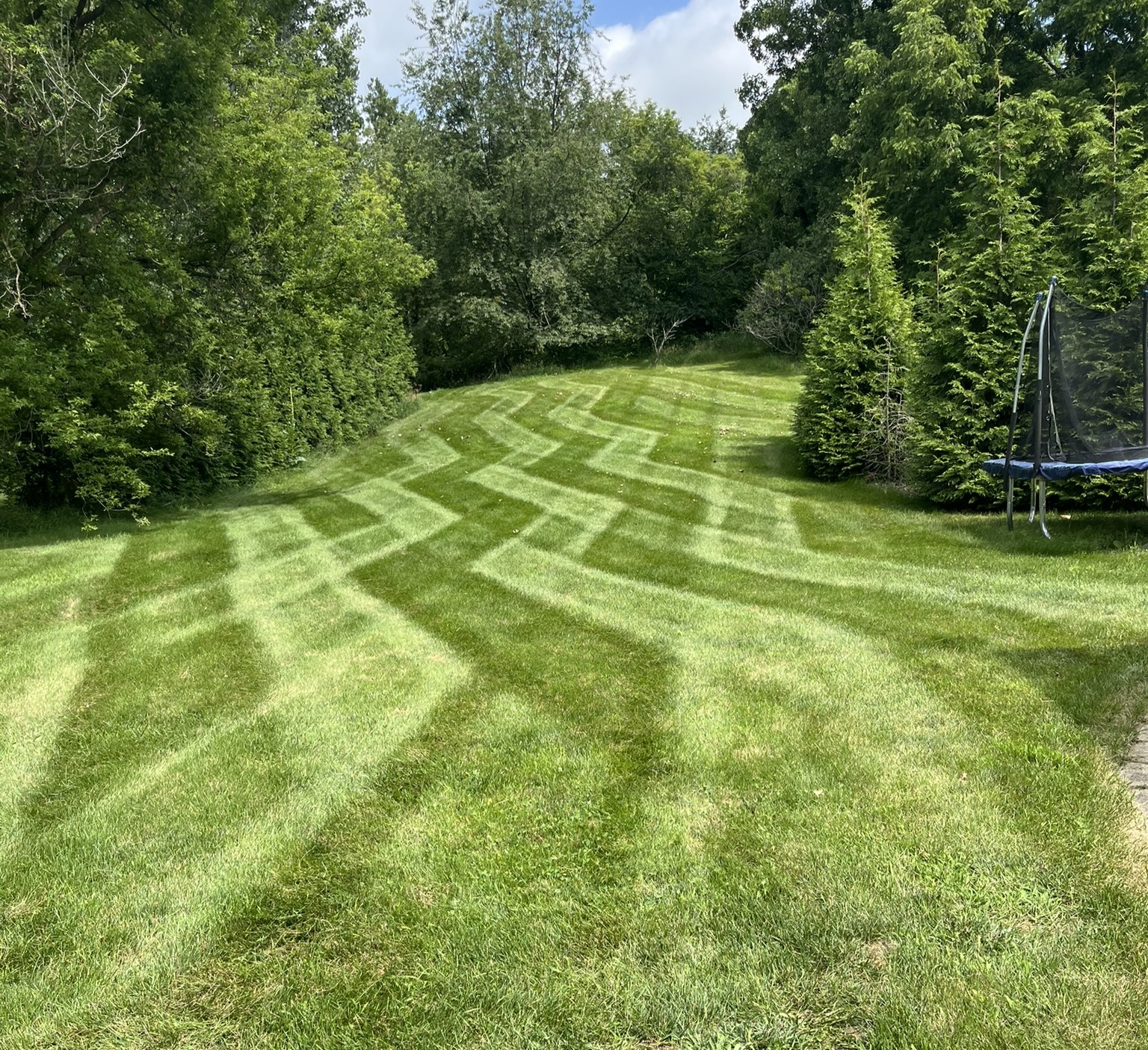 Lawn maintenance — freshly mowed green lawn
