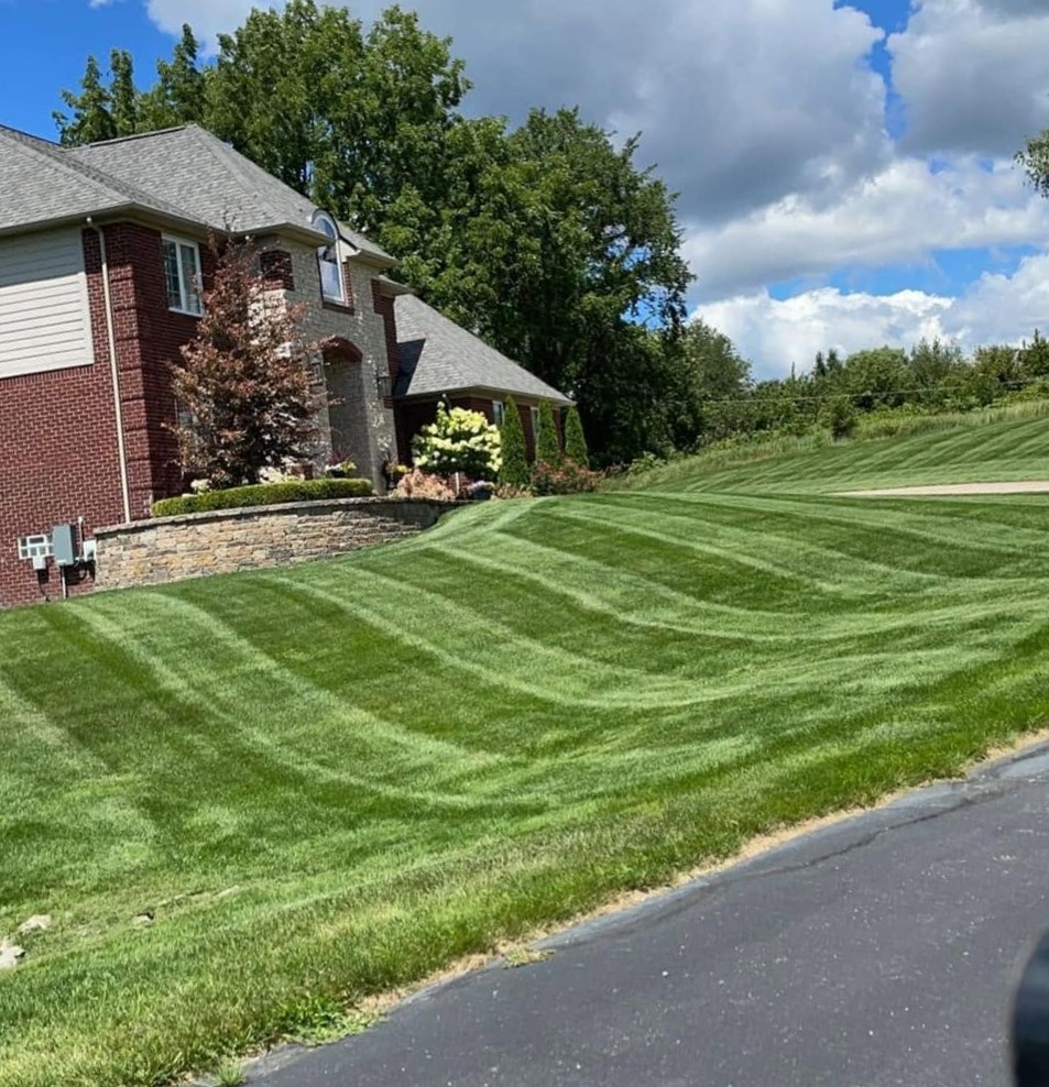 Landscaped backyard